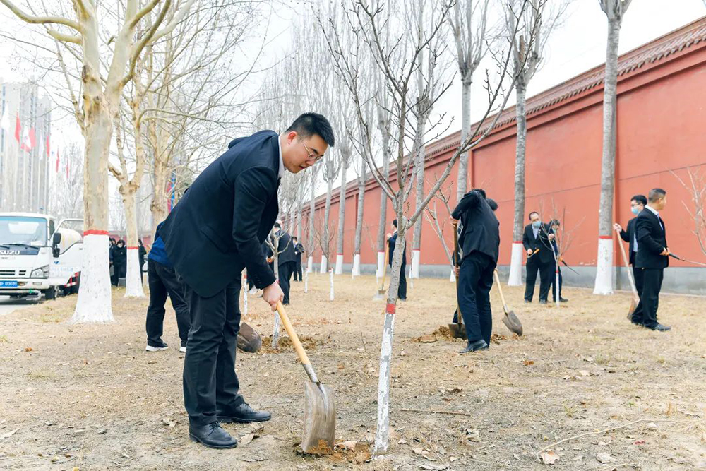 37fa6d6f64a41963fe8bb430d913882a