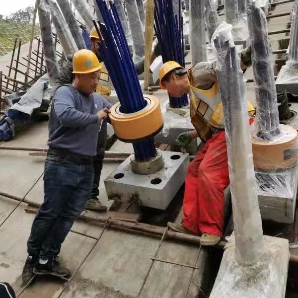 86f4c5e9ddc1f645e2954369b861fbb4