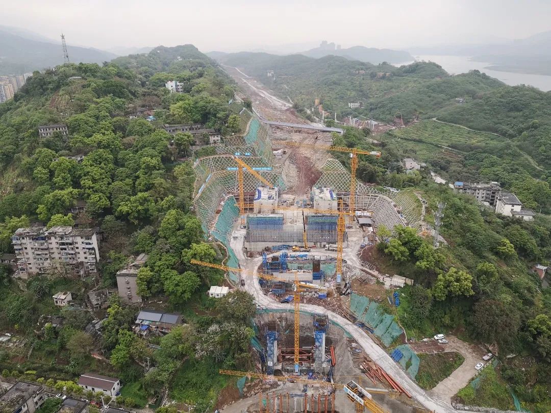 8c09ad3a956d1cacddadc2822a56afe1