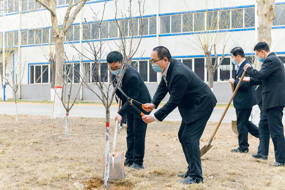 8c0f80fbd72ec91a102433733b14dab3