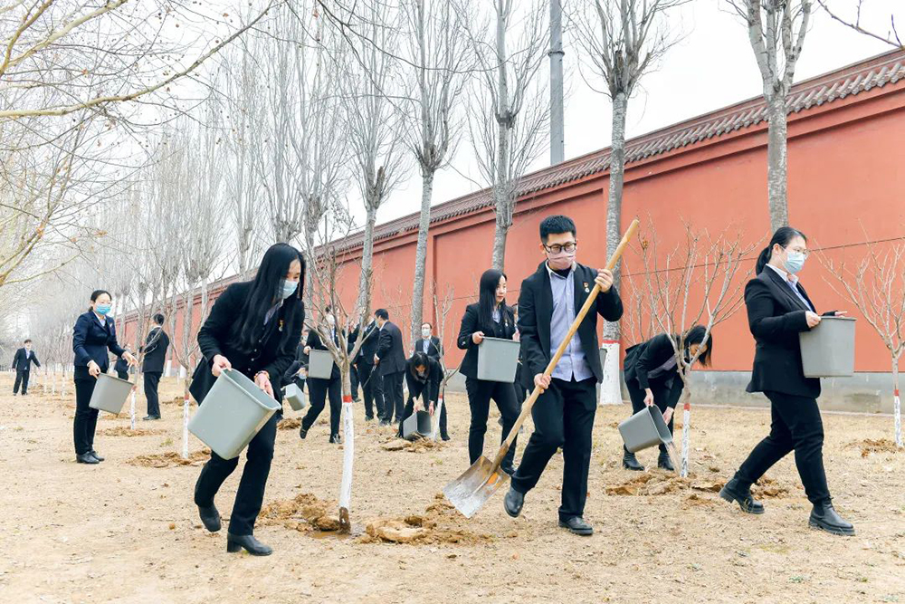 dc00e0bf812a518ab634c85849dbbc19