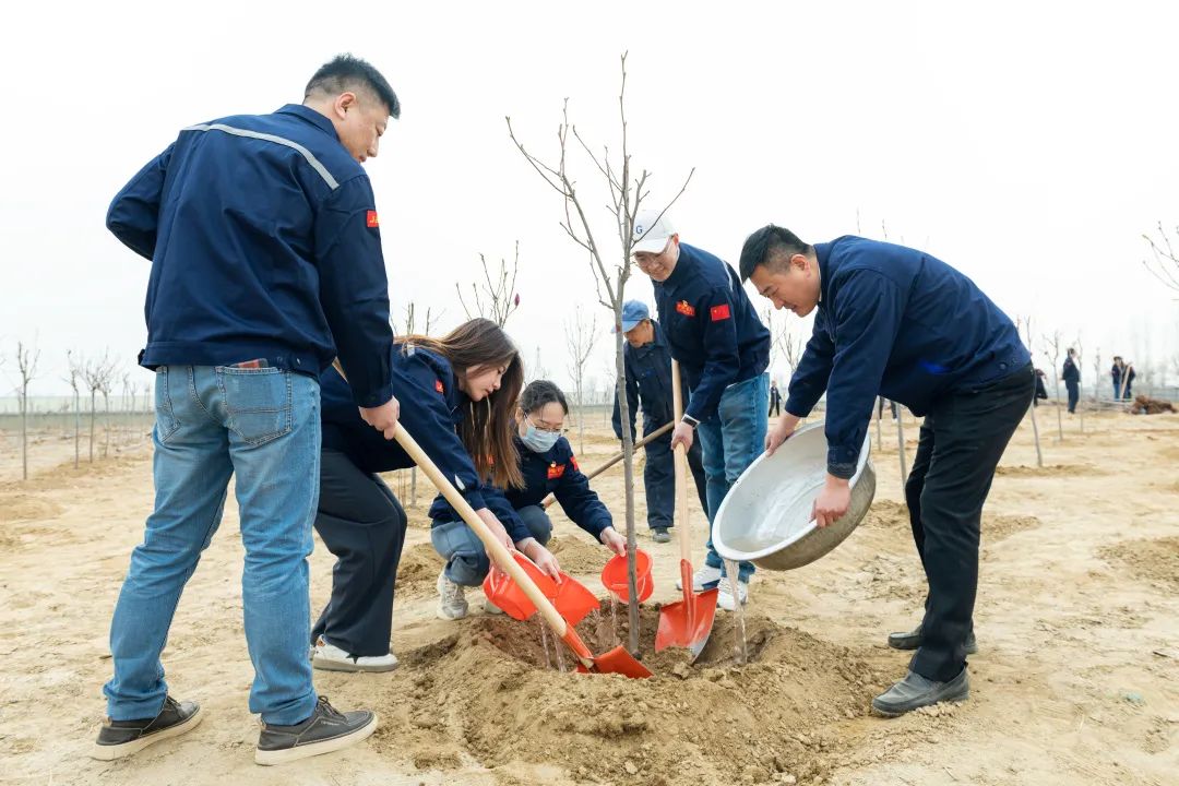 6bb813a6aa6696b07372b464f72325c8