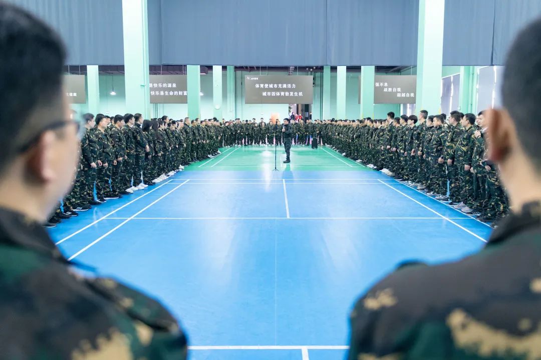 8f6553d2ff36dd8554a387f6207c6d08