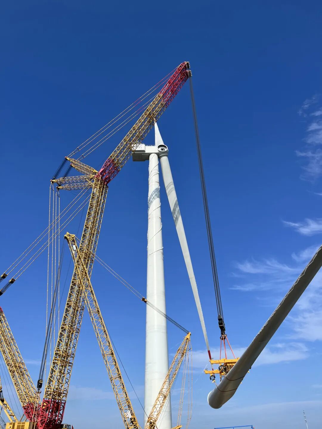 1ab1be00261a422c8e29c00c168f2e93