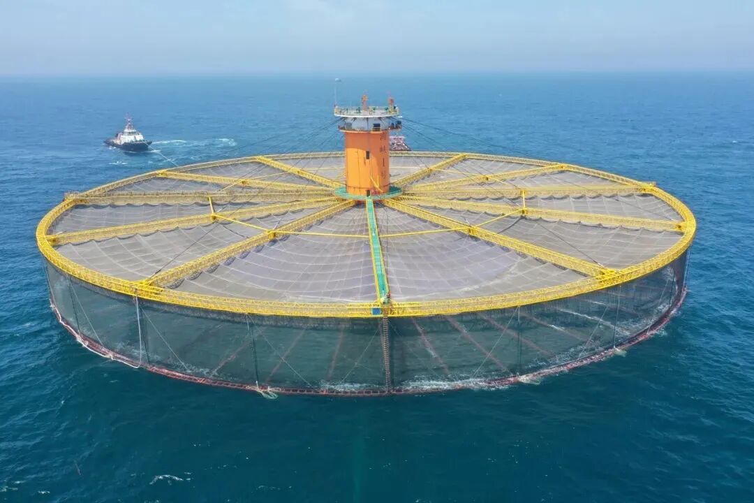 31f8c9b33512a2df594d4cc264c2e6d2