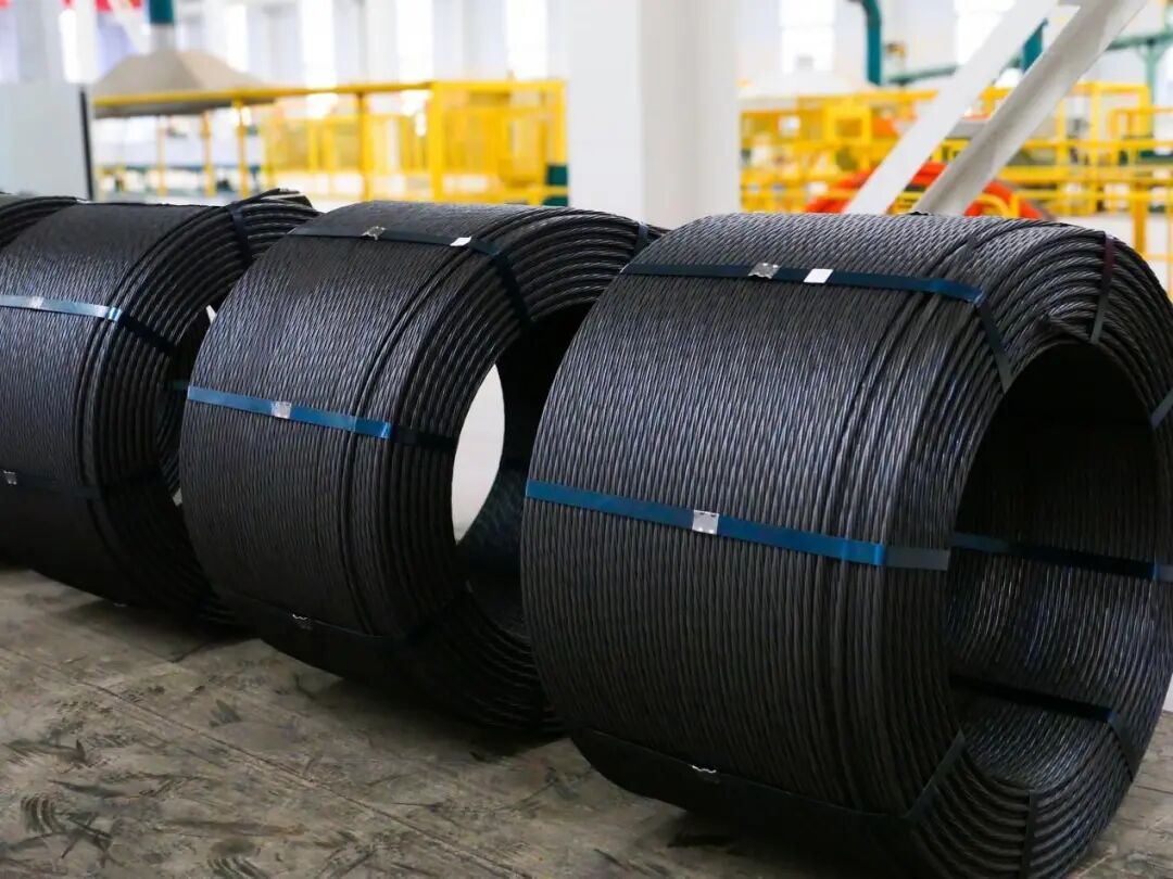 9bd2c99b6cf8b6b5a9218a1d95786556