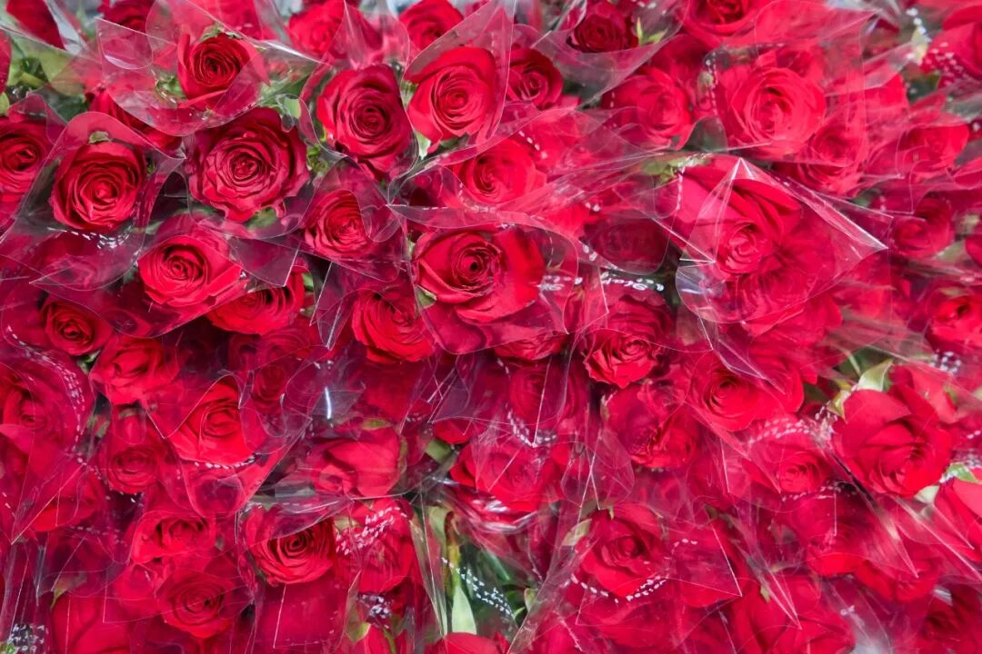 c85ff39277b0c09470f0665ab6f57168